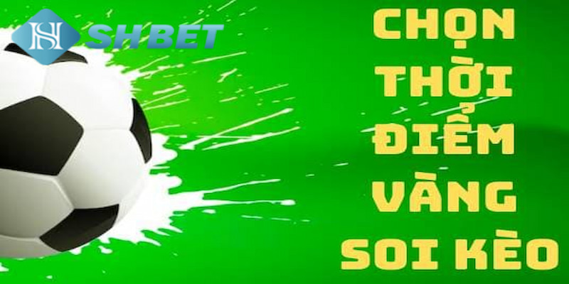 Banner www.minismart.net