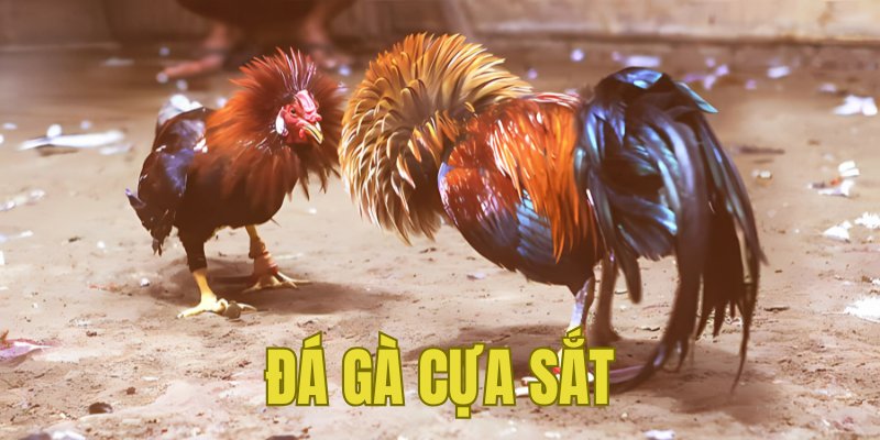 Banner www.minismart.net