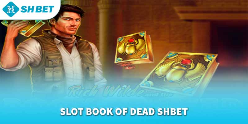 Banner www.minismart.net