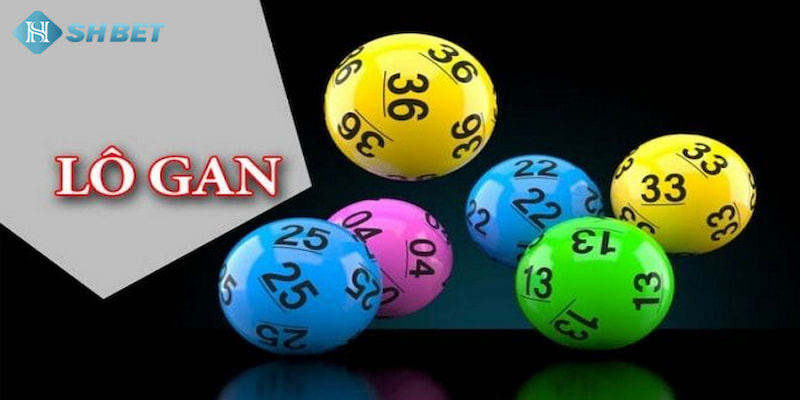 Banner www.minismart.net