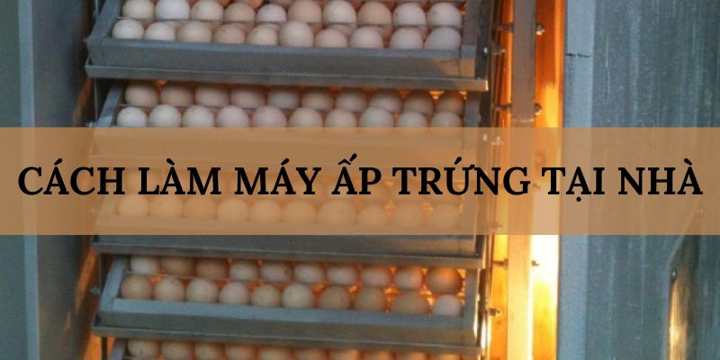 Banner www.minismart.net