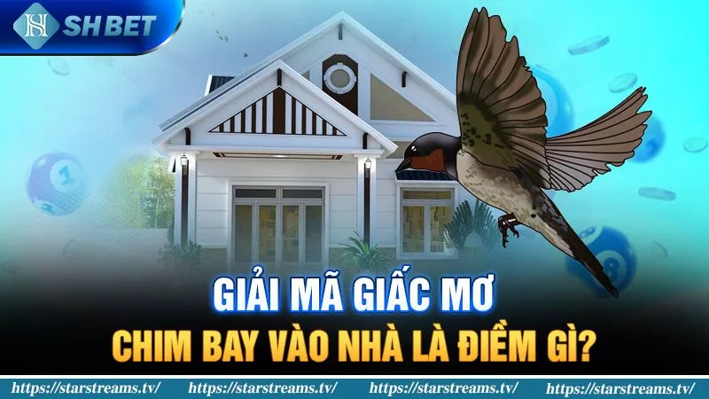 Banner www.minismart.net