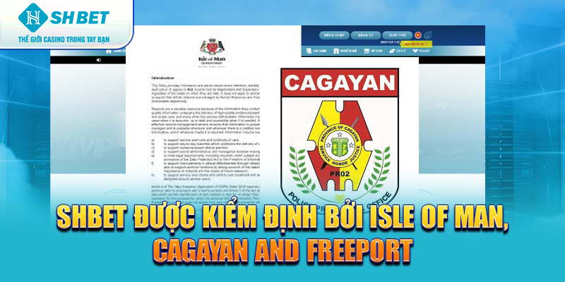 Banner www.minismart.net